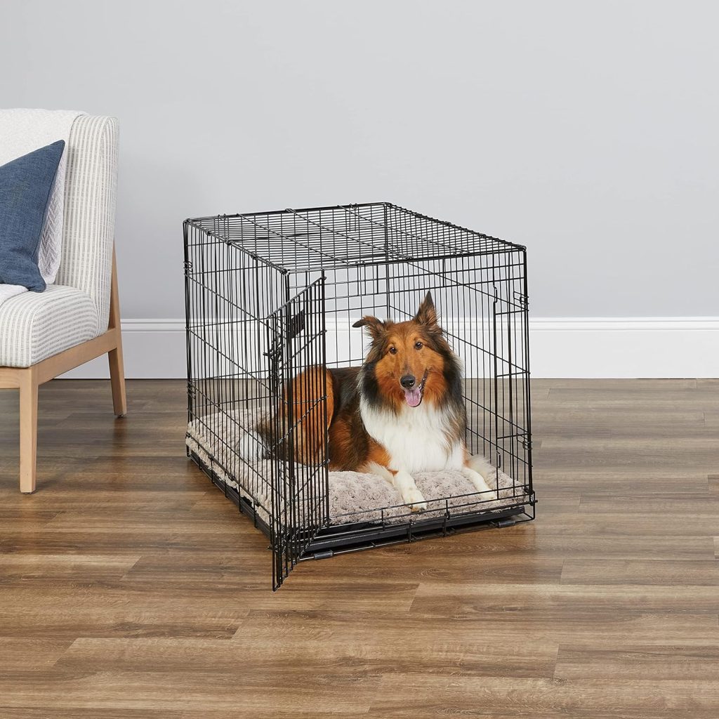 Dog Kennels For Dogs