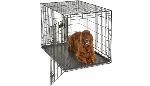 MidWest 42-Inch iCrate Dog Crate